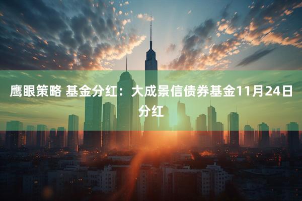 鹰眼策略 基金分红：大成景信债券基金11月24日分红