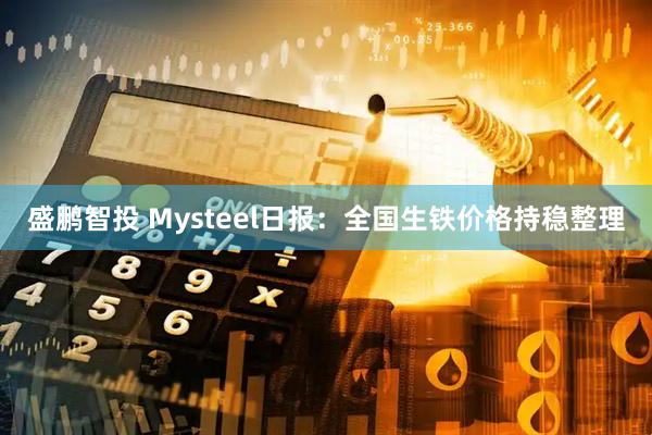 盛鹏智投 Mysteel日报：全国生铁价格持稳整理