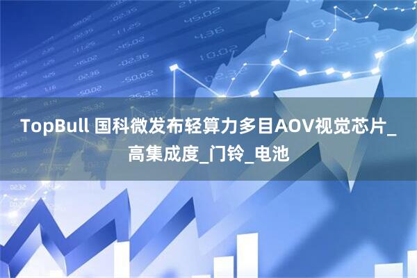 TopBull 国科微发布轻算力多目AOV视觉芯片_高集成度_门铃_电池